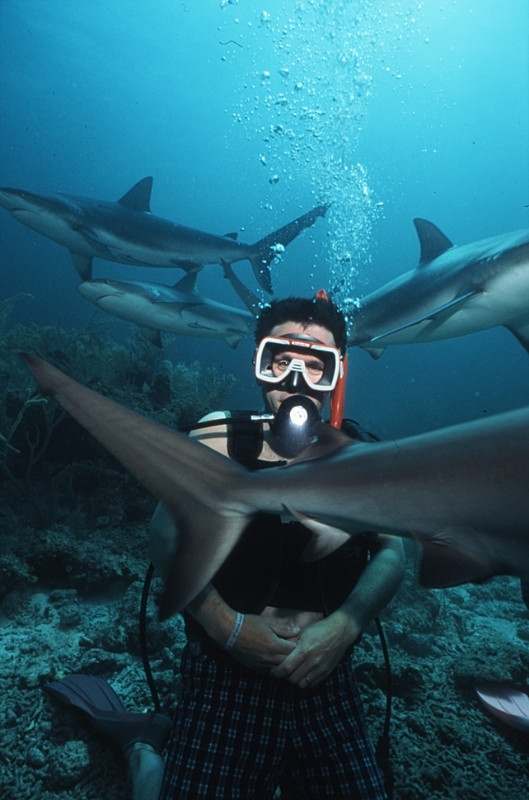 Maurice and sharks, Nassau Bahamas.jpg - Maurice and sharks